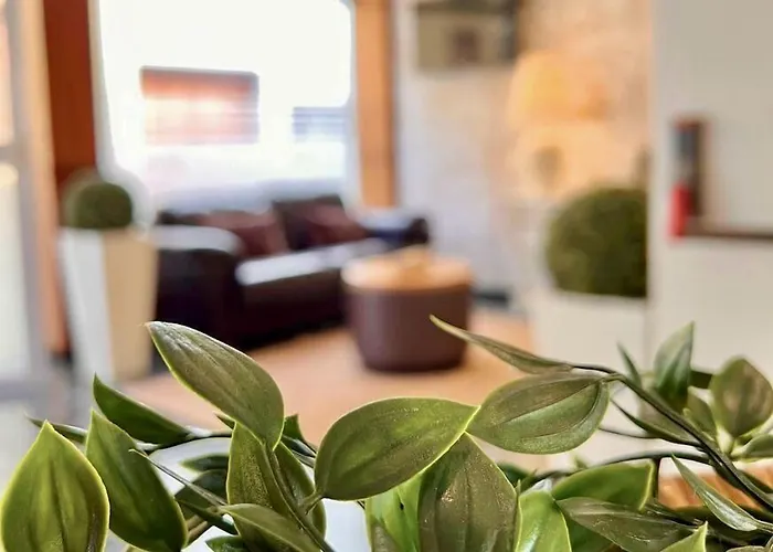 太阳假日酒店 拉克鲁斯