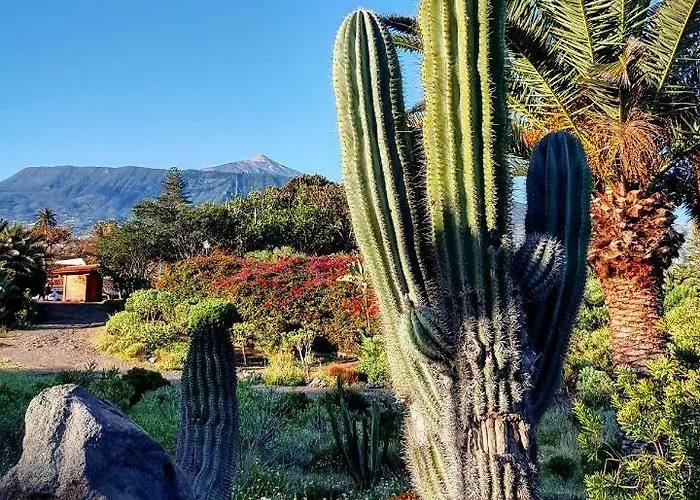 太阳假日酒店 拉克鲁斯