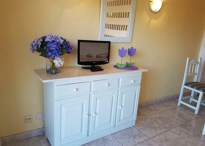 酒店 太阳假日酒店