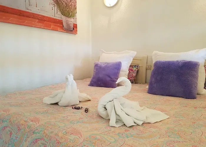 Sun Holidays מלון פוארטו דה לה קרוז