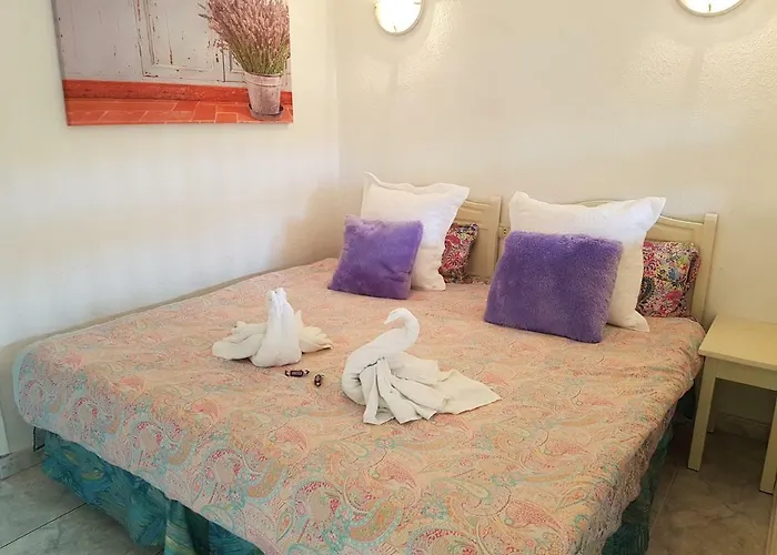 太阳假日酒店 酒店 *