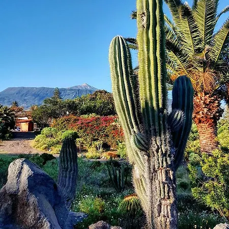 Sun Holidays Пуэрто-де-ла-Крус